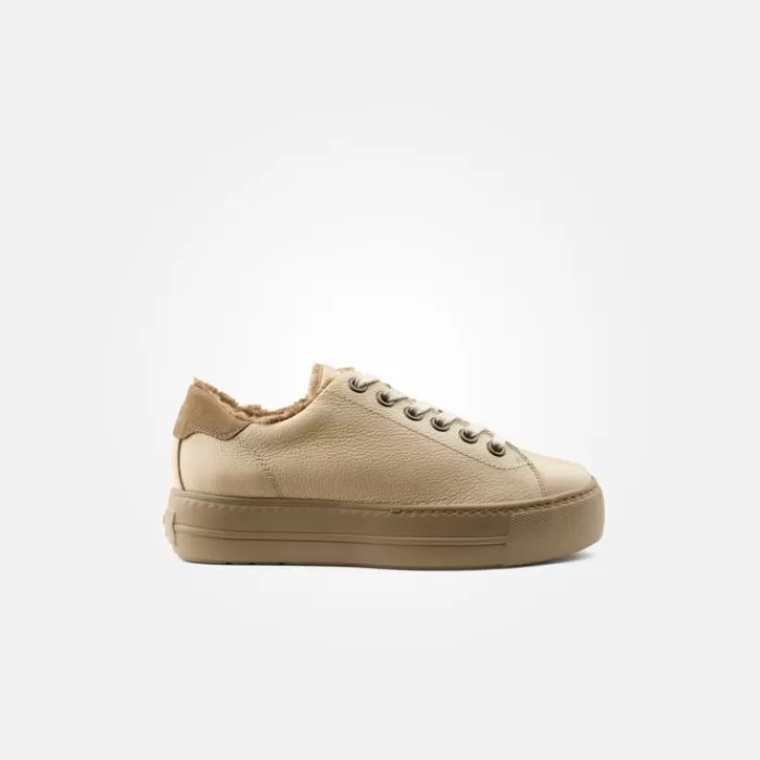 Paul Green Trainers- Leather Trainer Almond